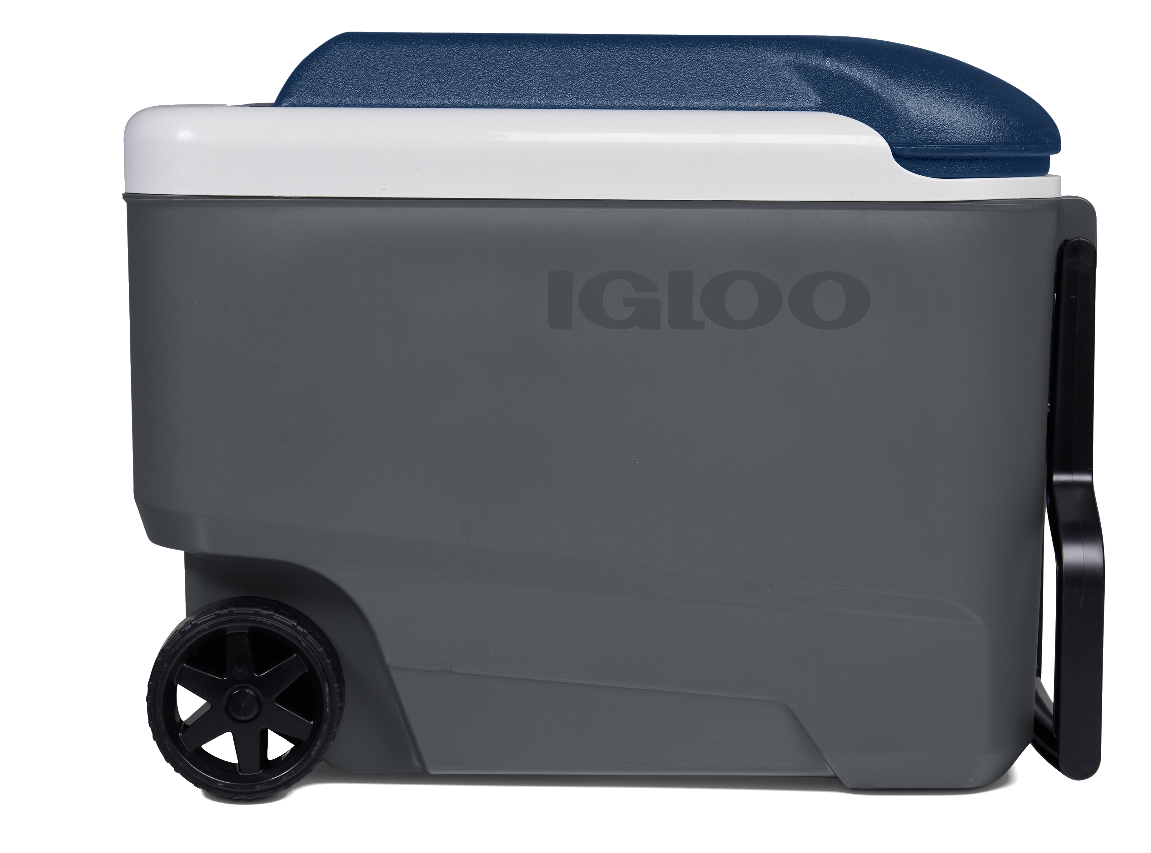 Igloo Maxcold 40qt Roller - 37 Liter