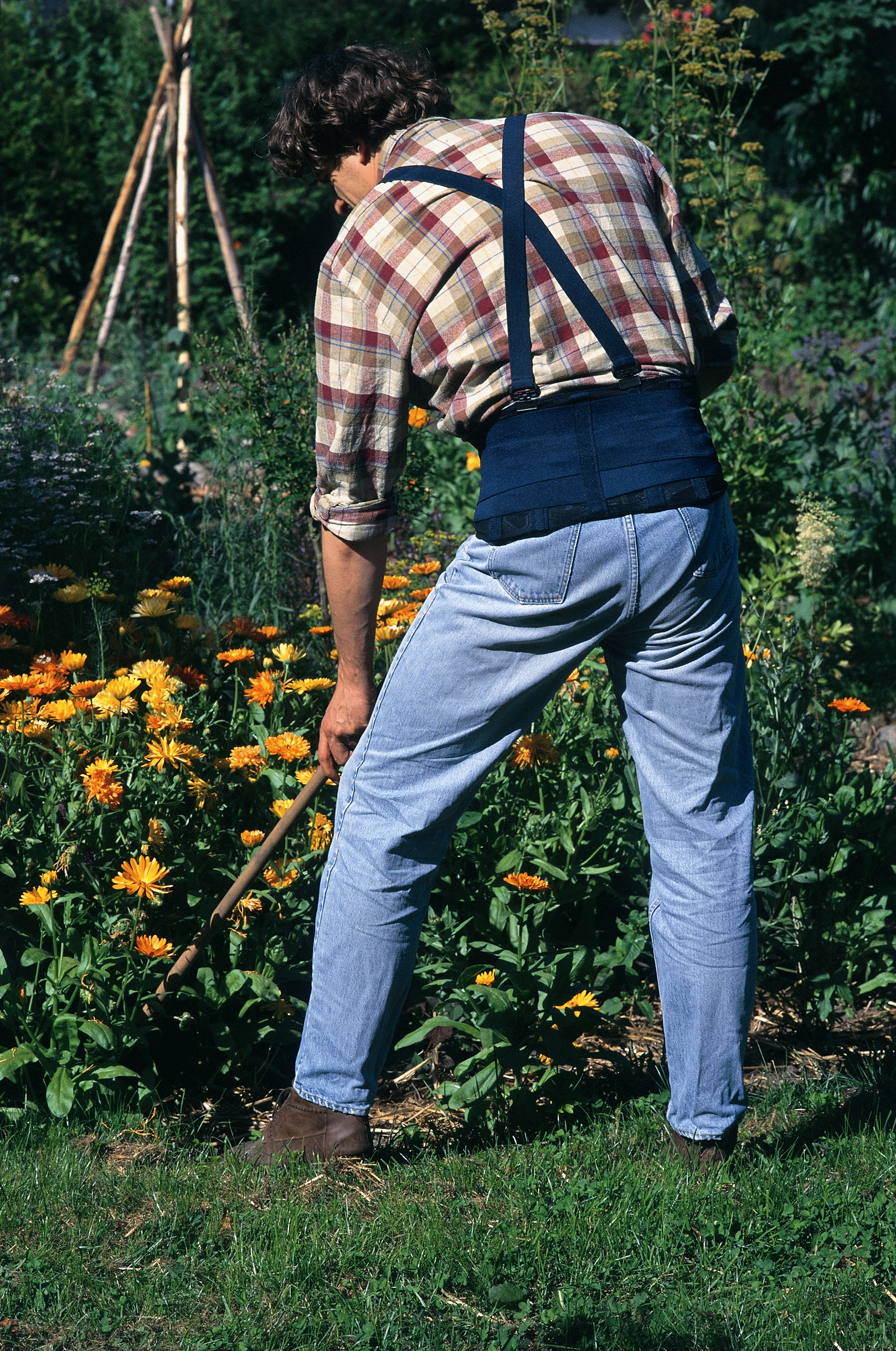 Mikros PQS 600 Rückengurt Gartenarbeit Mikros PQS 600 Rückengurt Mann bei Gartenarbeit mit Gurt angezogen